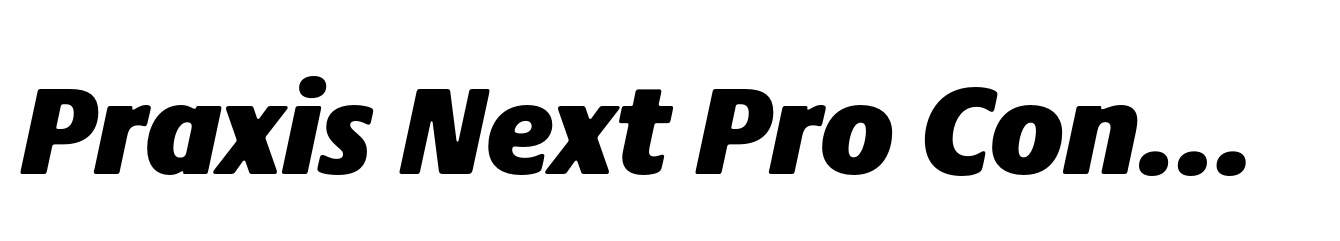 Praxis Next Pro Condensed ExtraBlack Italic